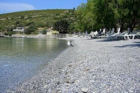 "Patra'S" Apartments Patra Poseidonion Bagian luar foto